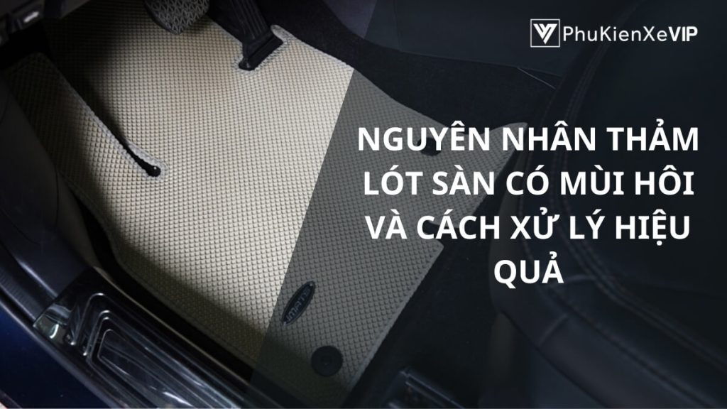 Nguyên nhân thảm lót sàn có mùi hôi và cách xử lý hiệu quả