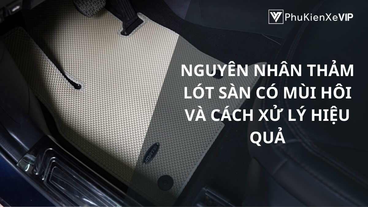 Nguyên nhân thảm lót sàn có mùi hôi và cách xử lý hiệu quả