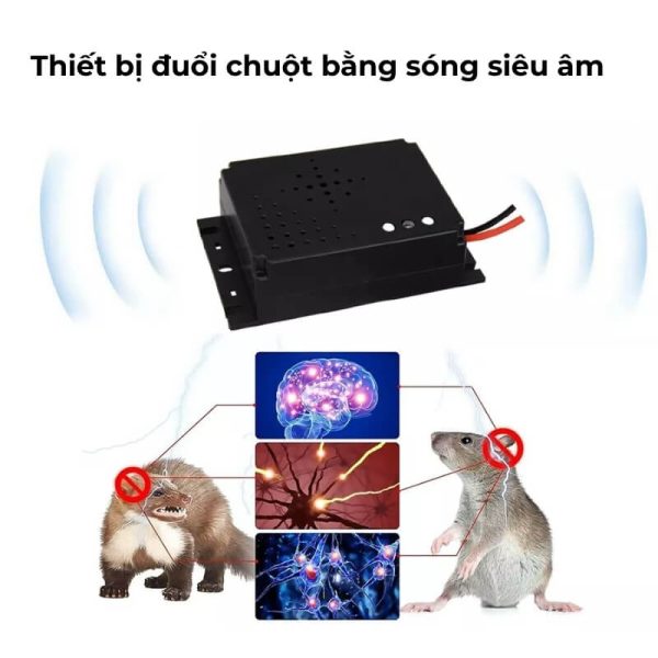 Máy đuổi chuột xe ô tô AM-366 thông minh, chống chuột hiệu quả
