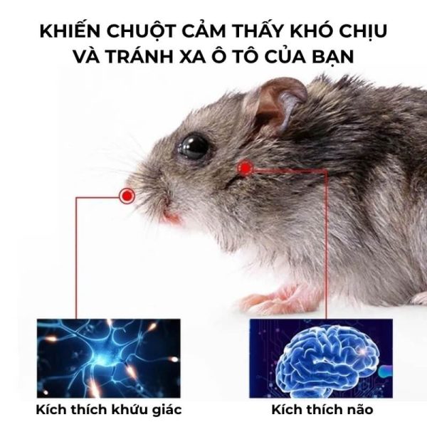 Sáp đuổi chuột ô tô Janpan Tokuset nhập khẩu, không độc hại