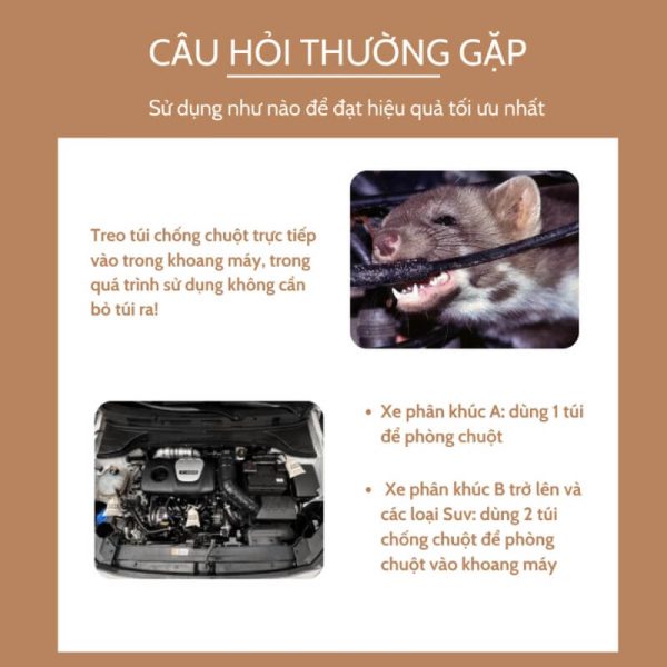 Túi chống chuột xe ô tô AMB
