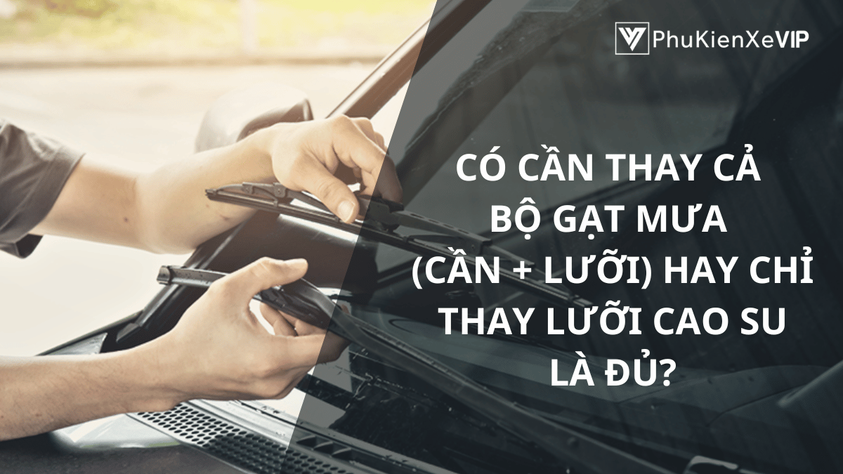 Có cần thay cả bộ gạt mưa (cần + lưỡi) hay chỉ thay lưỡi cao su là đủ?