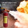 Bình chữa cháy bột ABC dùng cho ô tô