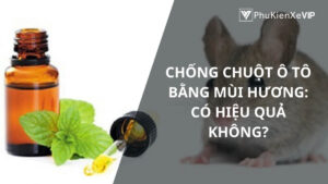 Chống chuột ô tô bằng mùi hương: Có hiệu quả không?