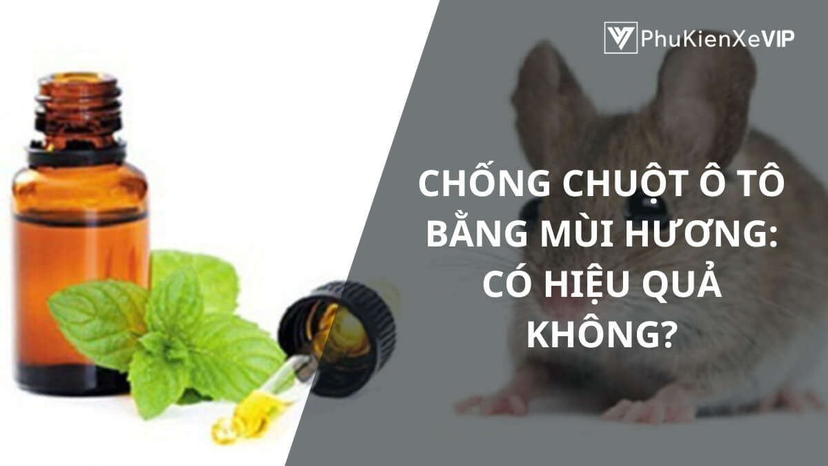Chống chuột ô tô bằng mùi hương: Có hiệu quả không?