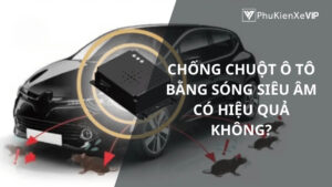 Chống chuột ô tô bằng sóng siêu âm có hiệu quả không?