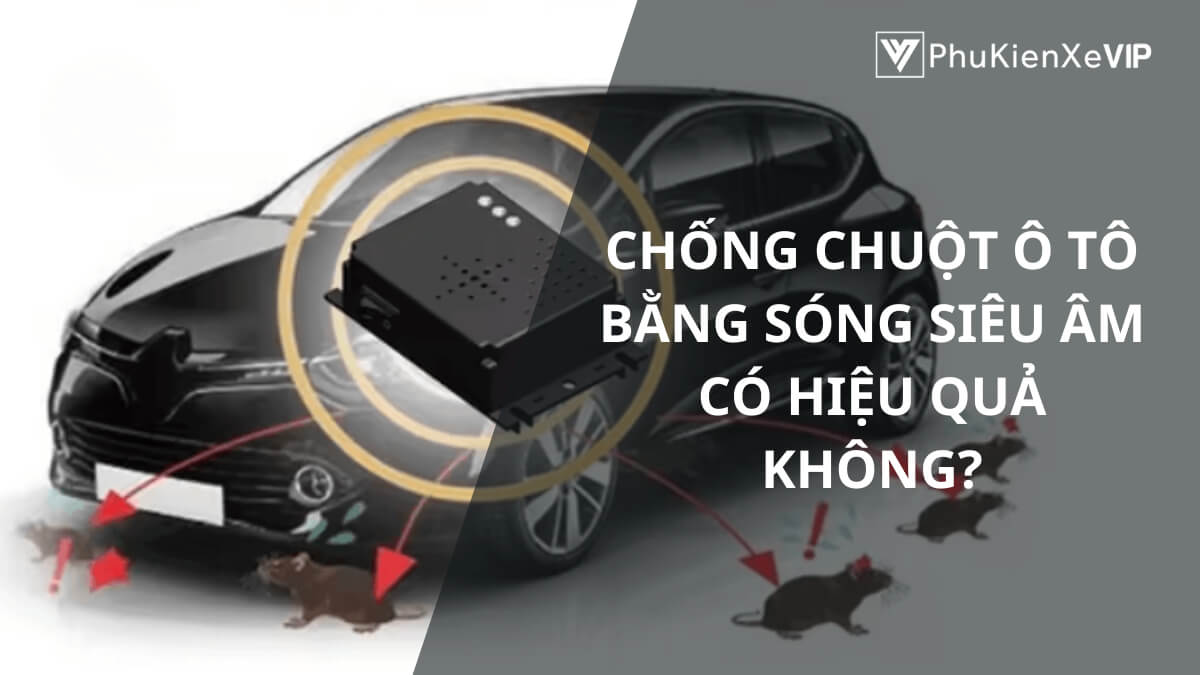 Chống chuột ô tô bằng sóng siêu âm có hiệu quả không?