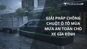 Giải pháp chống chuột ô tô mùa mưa an toàn cho xe gia đình