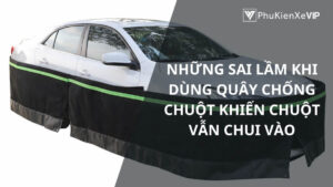 Những sai lầm khi dùng quây chống chuột khiến chuột vẫn chui vào
