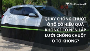 Quây chống chuột ô tô có hiệu quả không? Có nên lắp lưới chống chuột ô tô không?
