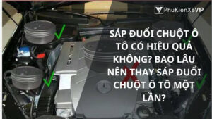 Sáp đuổi chuột ô tô có hiệu quả không? Bao lâu nên thay sáp đuổi chuột ô tô một lần?