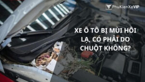 Xe ô tô bị mùi hôi lạ, có phải do chuột không?