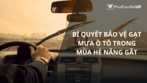 Bí quyết bảo vệ gạt mưa ô tô trong mùa hè nắng gắt