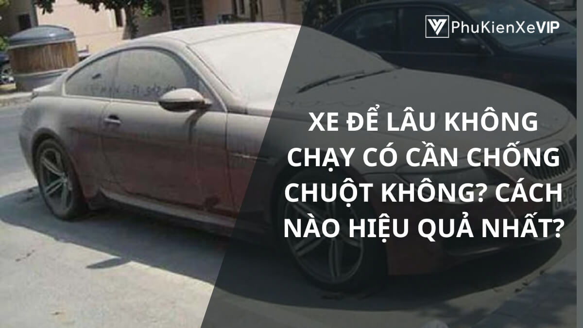 Xe để lâu không chạy có cần chống chuột không? Cách nào hiệu quả nhất?
