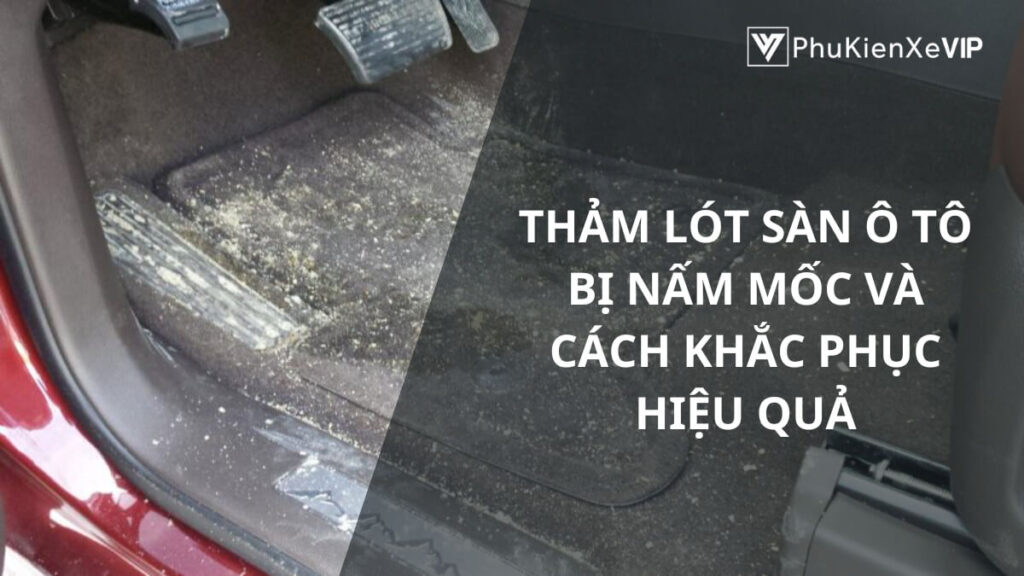 Thảm lót sàn ô tô bị nấm mốc và cách khắc phục hiệu quả